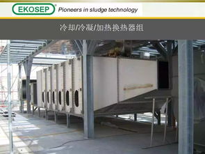 污泥干化處理技術及產品介紹 高溫熱泵帶式干化工藝的研發(fā)與創(chuàng)新